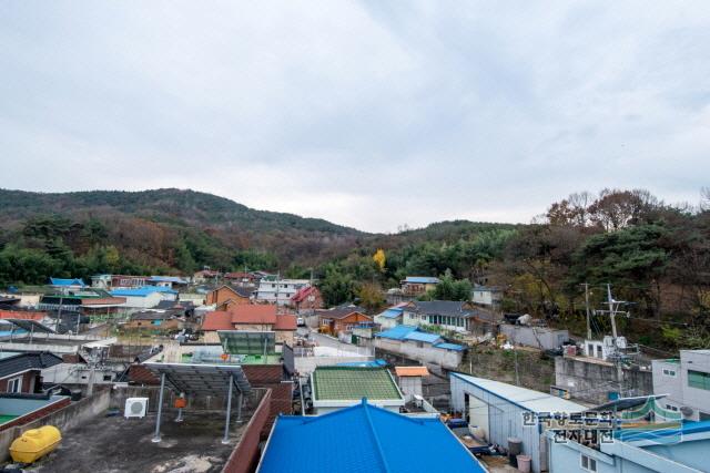 위천리 고분군 전경